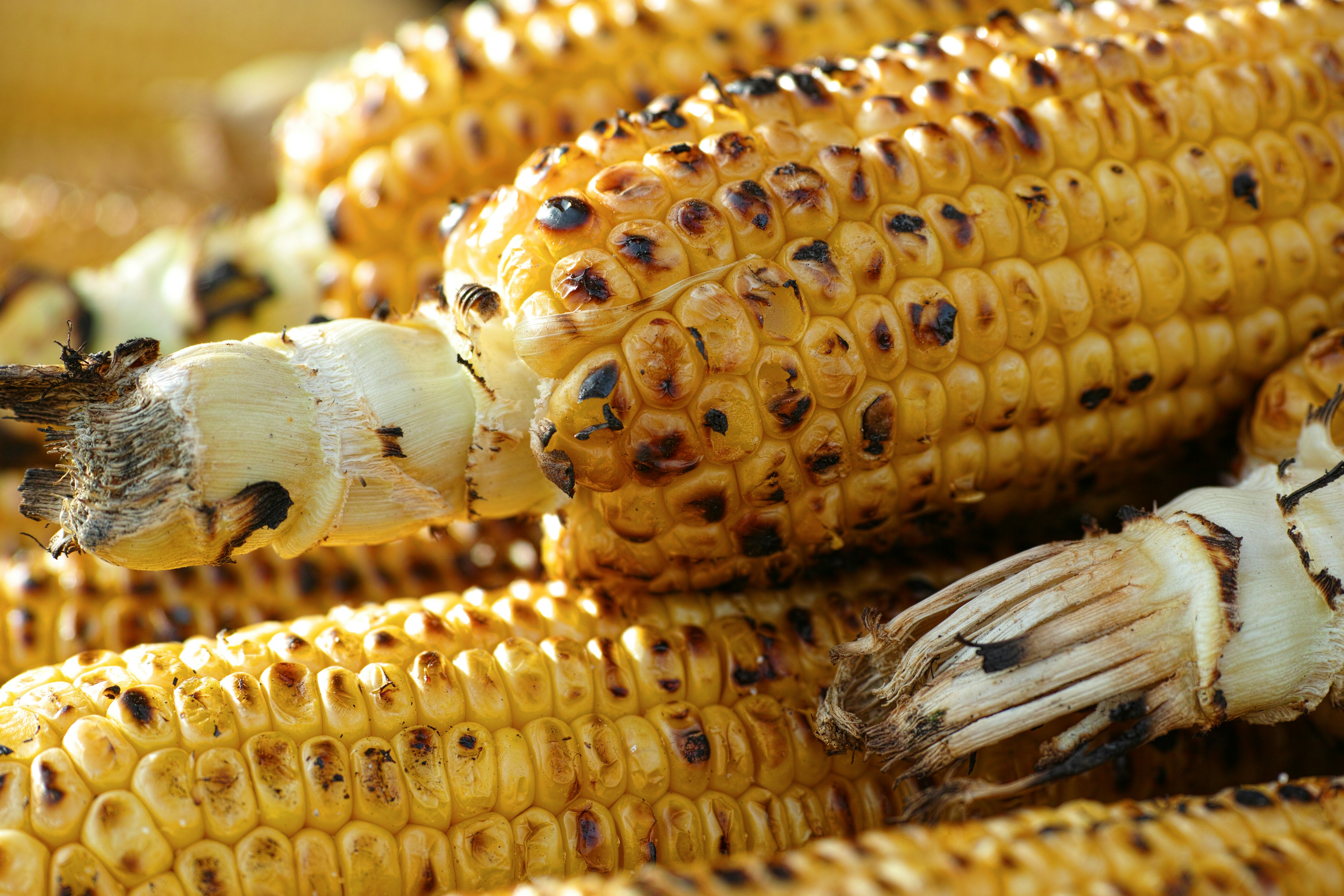 yellow corn on brown wooden table